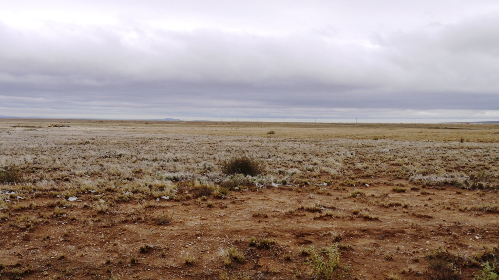 Socorro New Mexico Land for sale