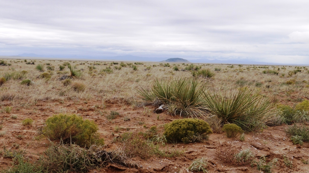 Socorro New Mexico Land for sale