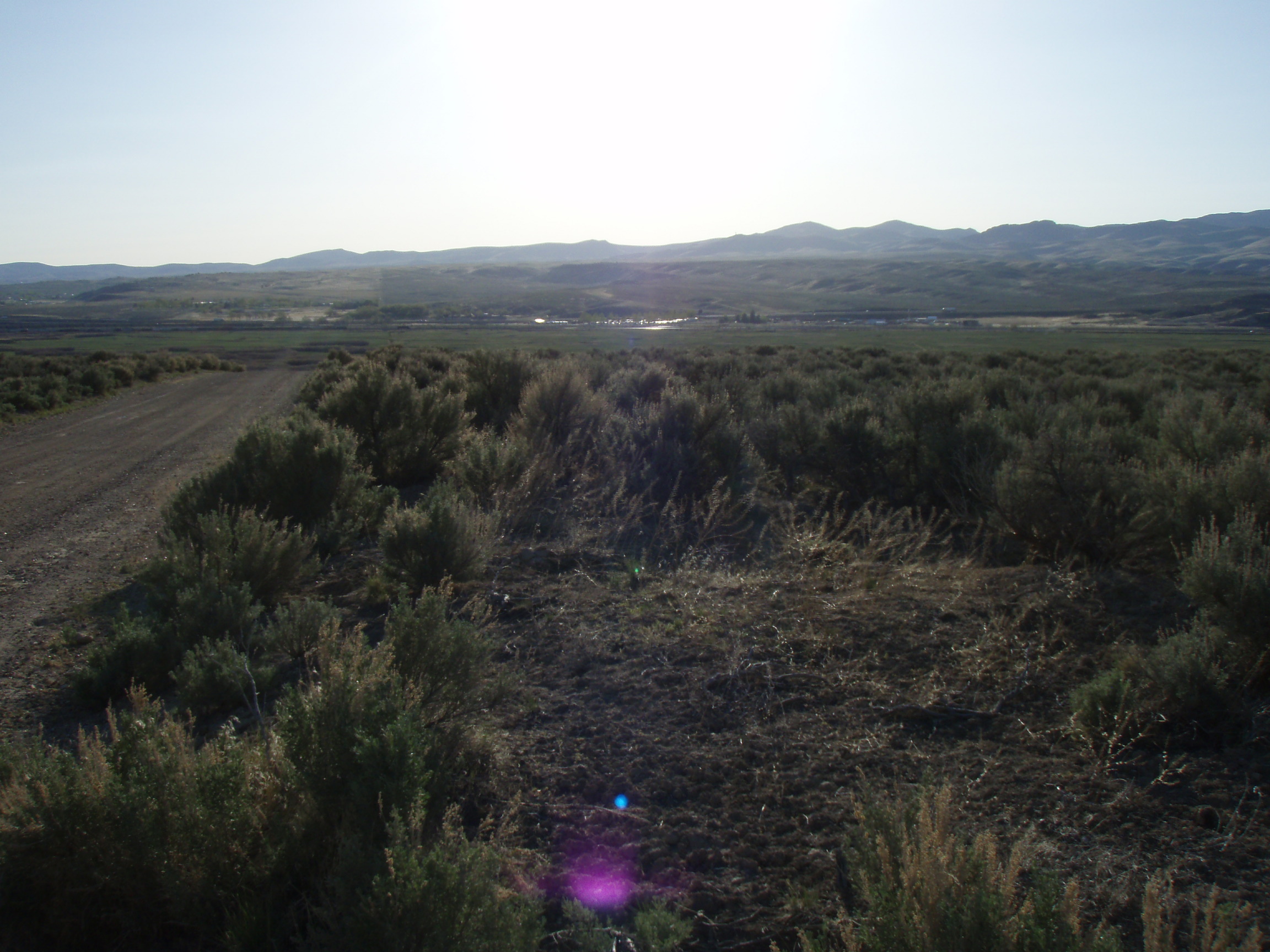 Elko Nevada land for sale