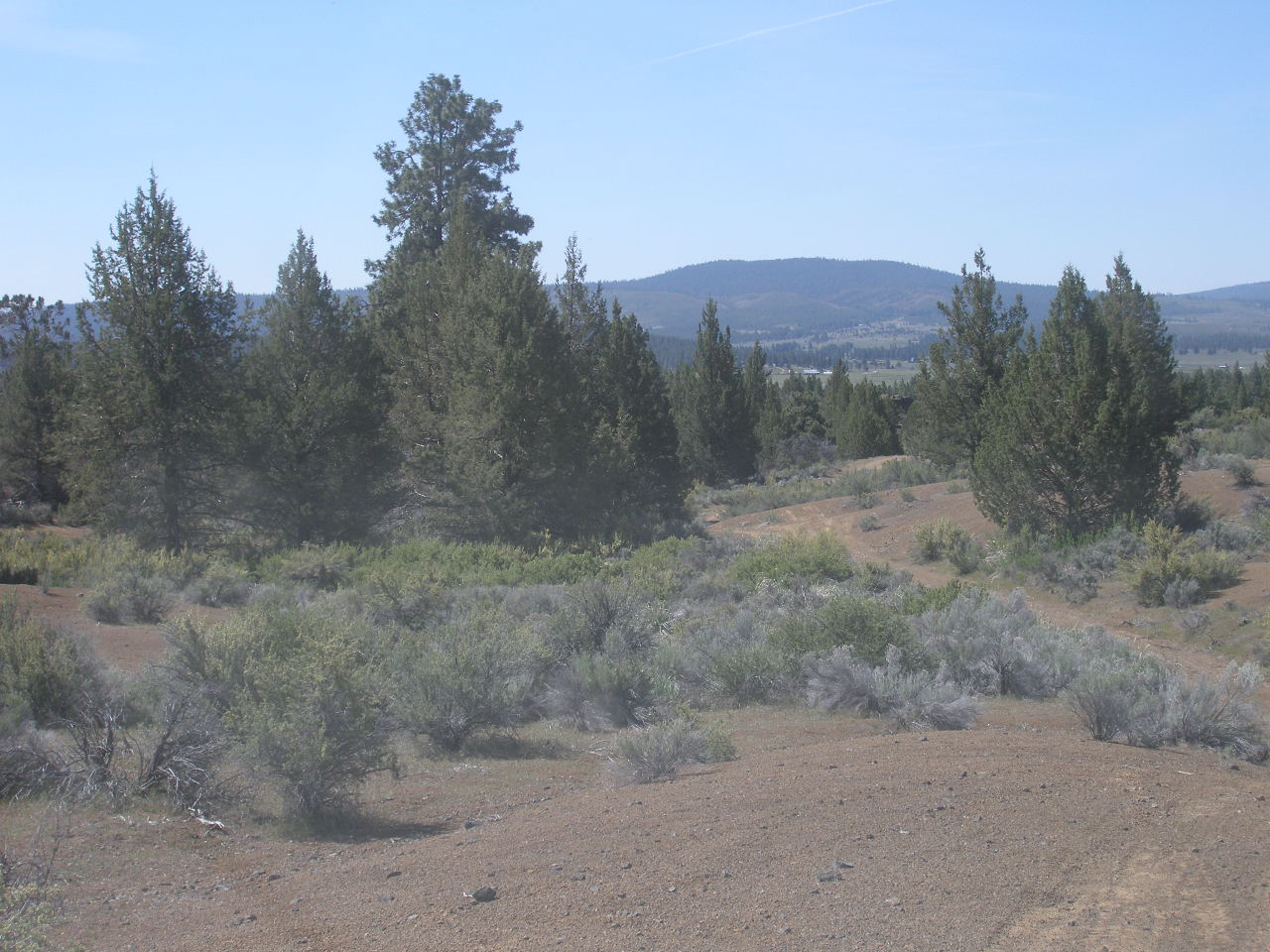 KlamathFforest Estates Oregon land for sale real estate