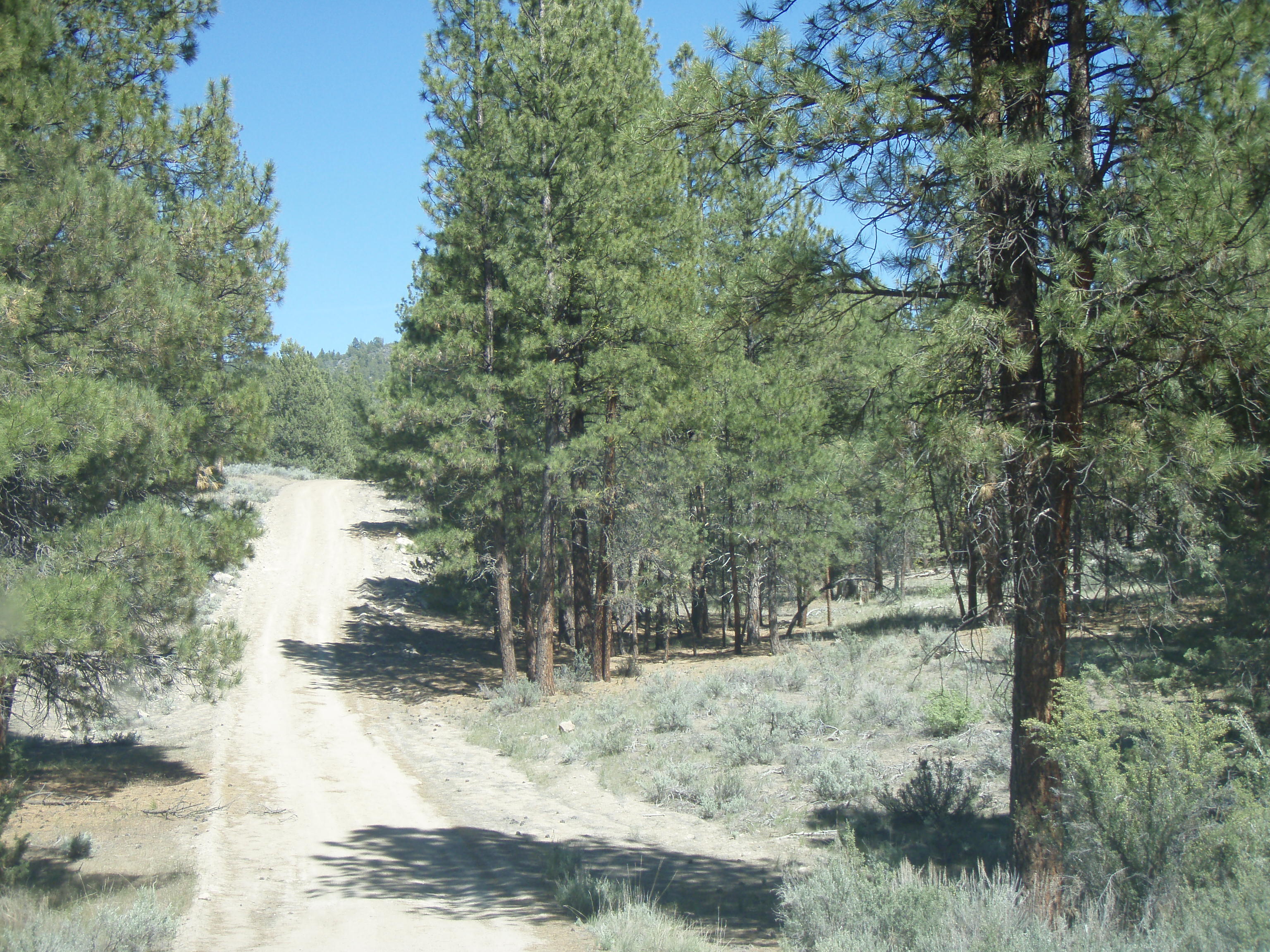 Klamath County Oregon land for sale real estate