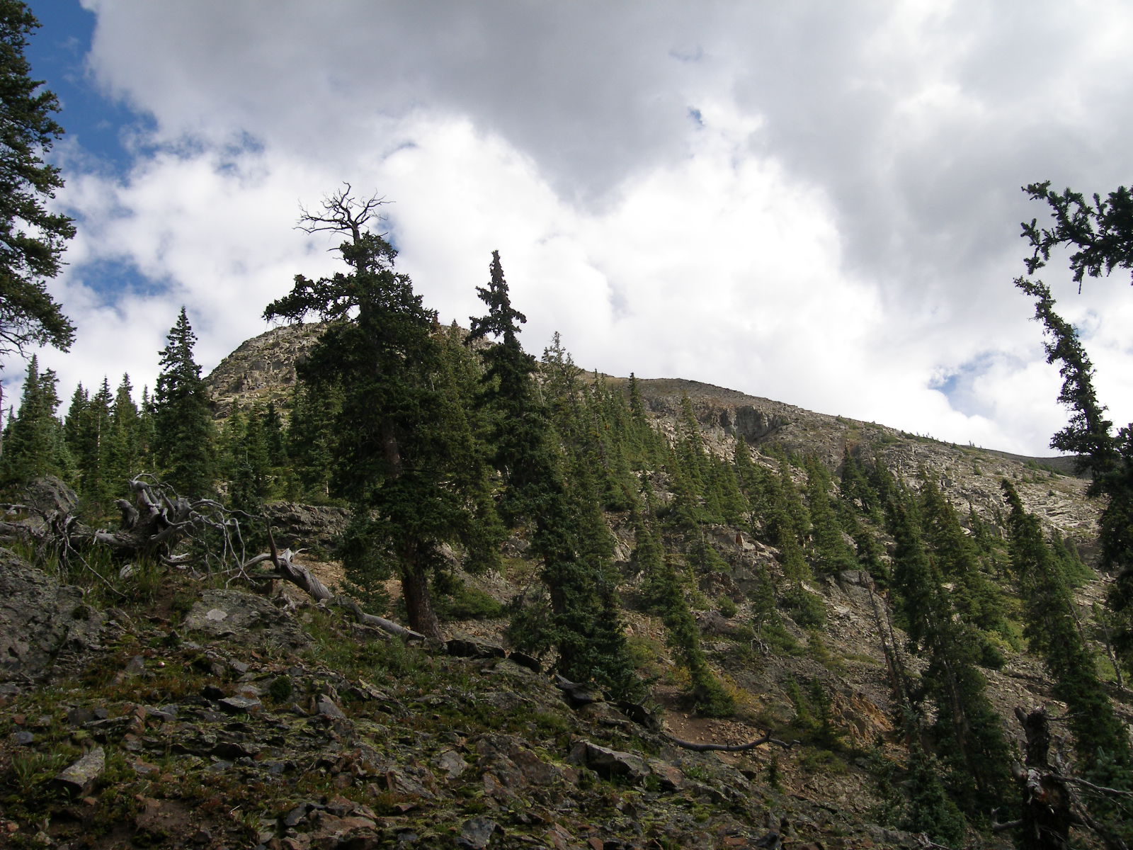 Silverton Colorado Mountain land for sale