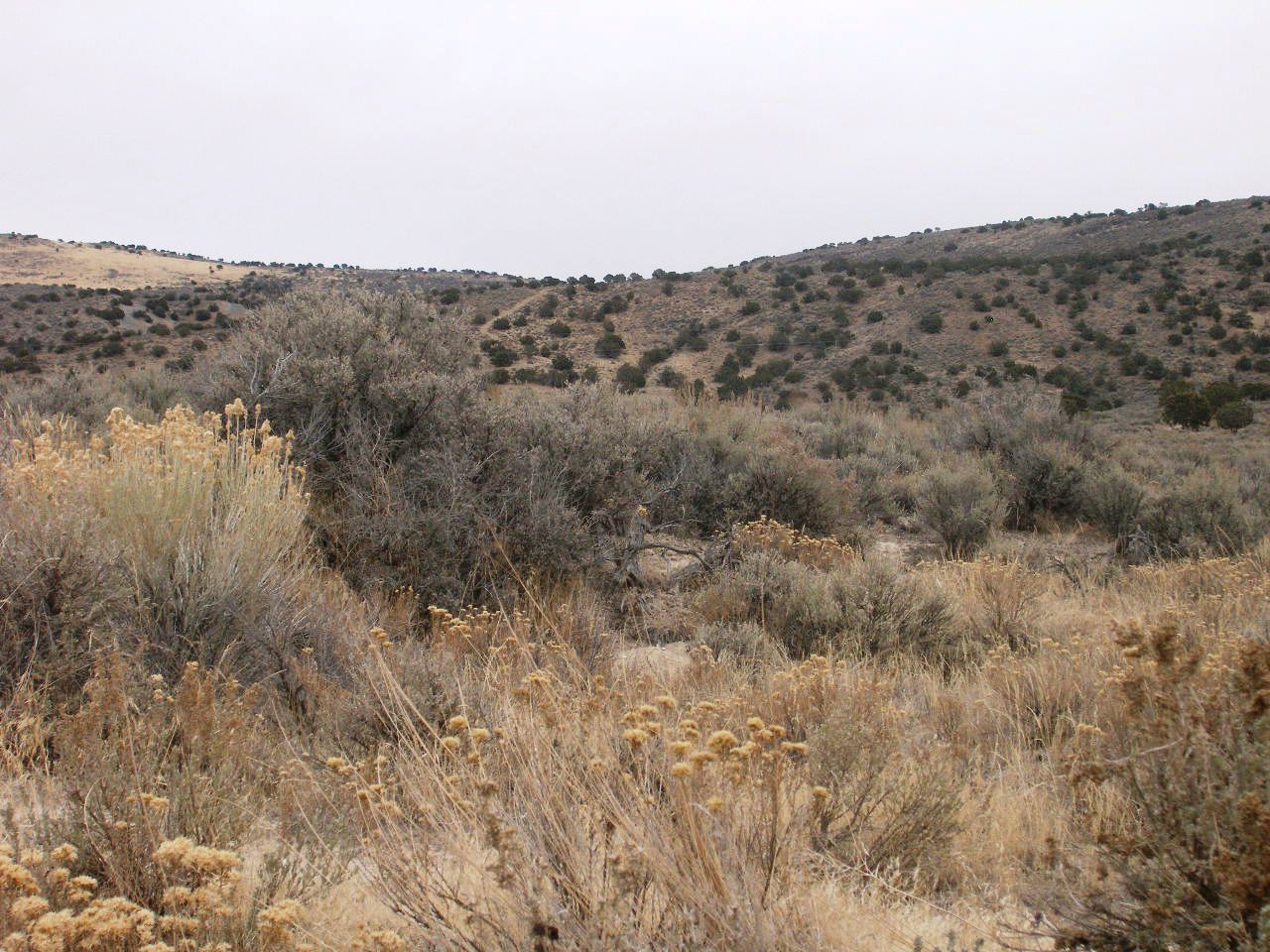 Elko Nevada land for sale