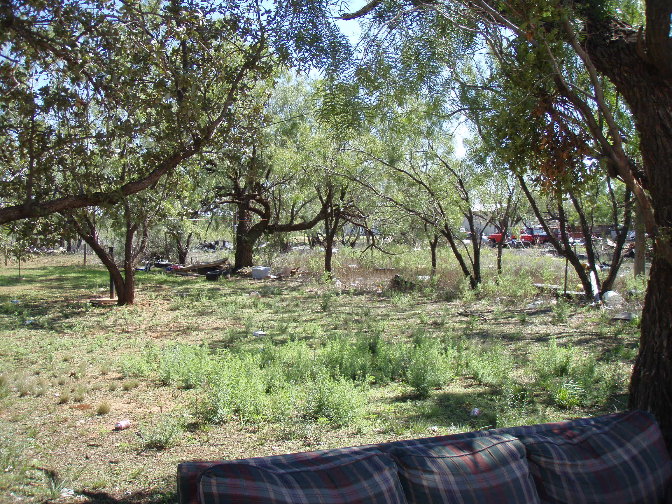 Trent Texas Taylor County land for sale