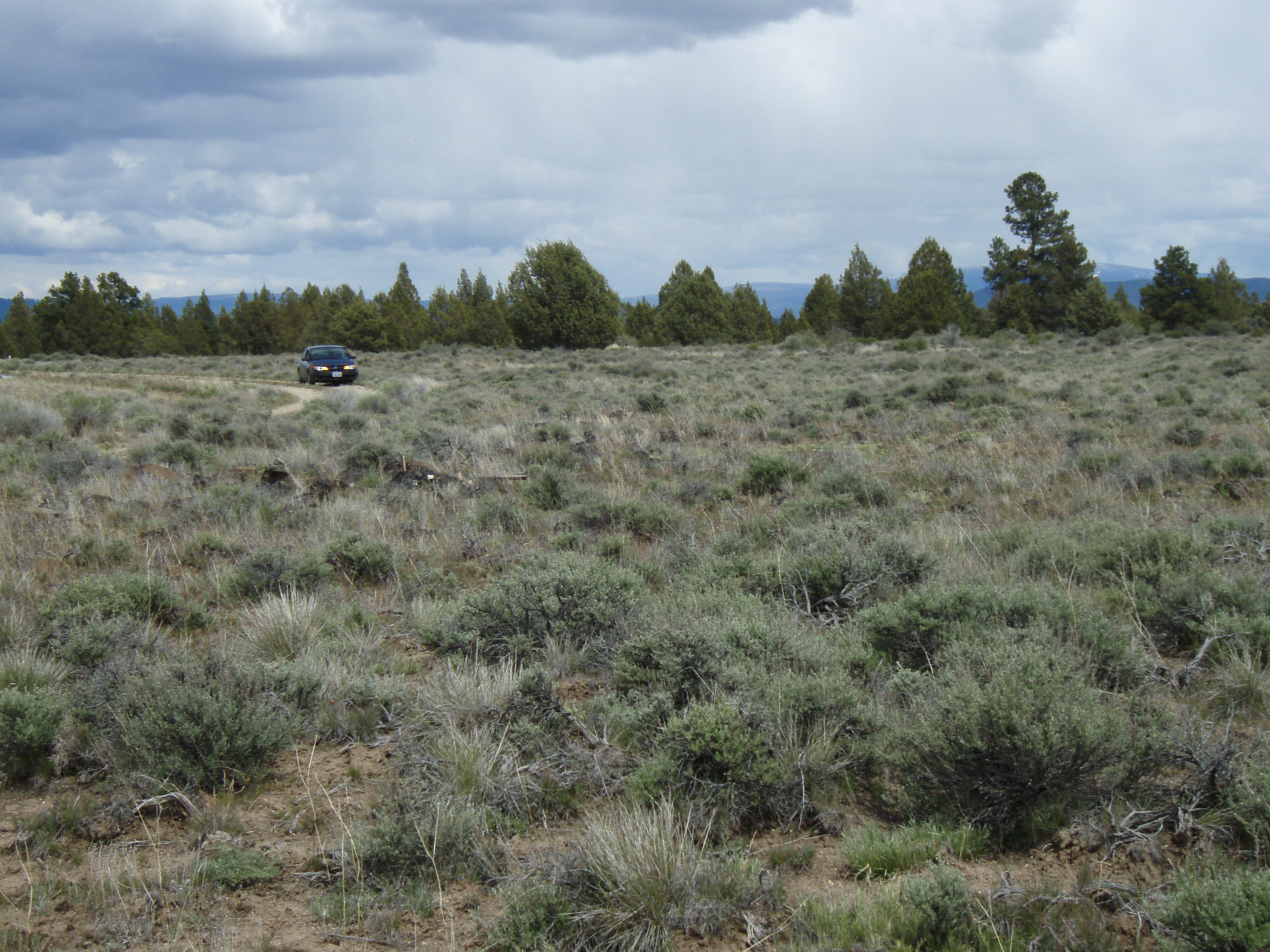 Klamath County Oregon land for sale real estate