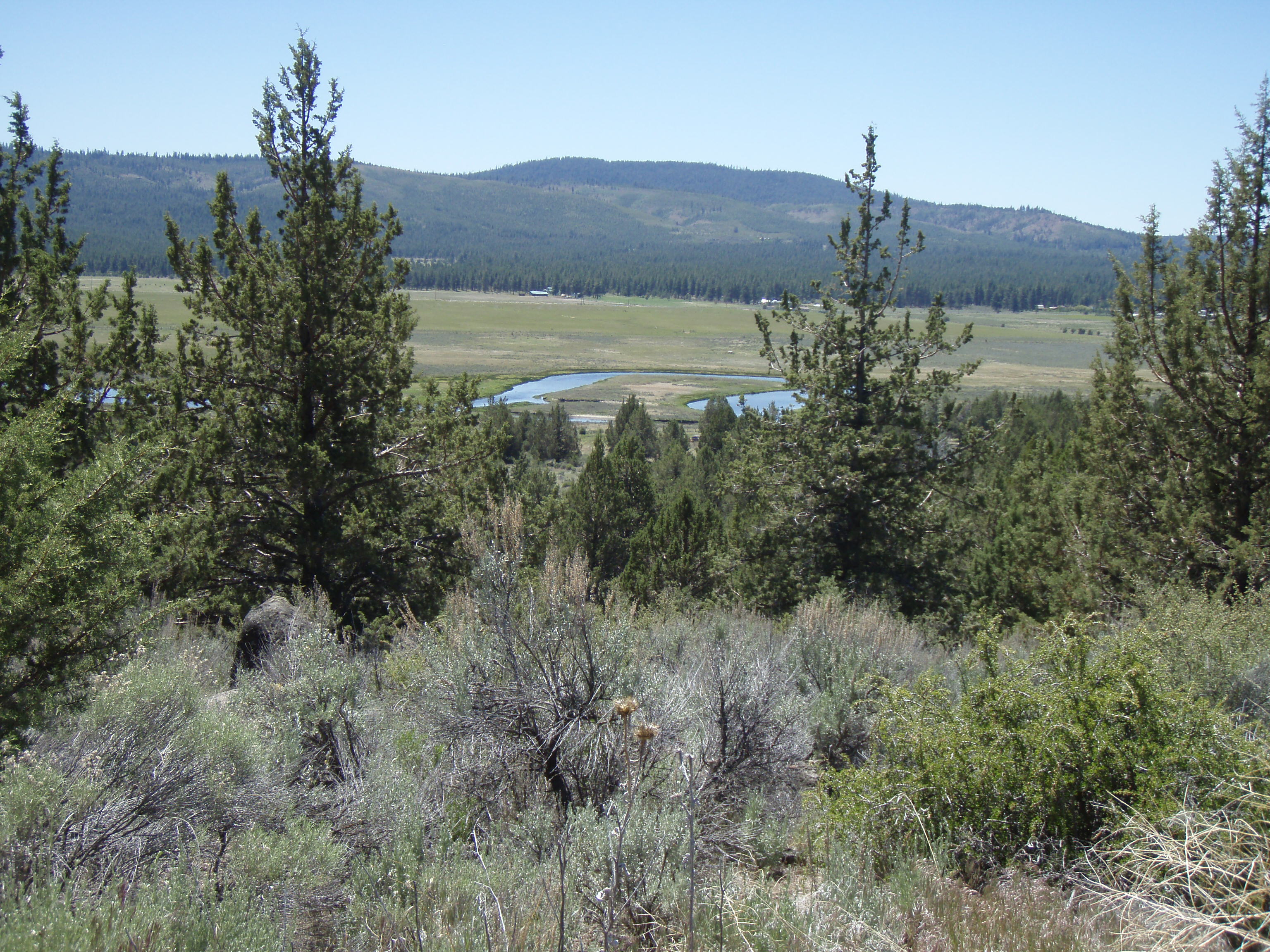 Klamath Oregon Nimroad land for sale