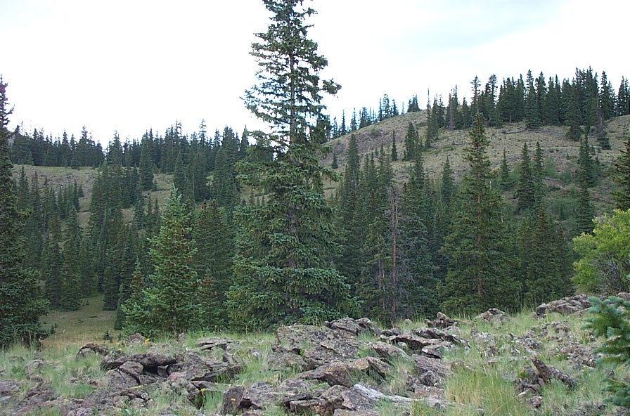 Lake city and Hinsdale County Colorado Land for sale