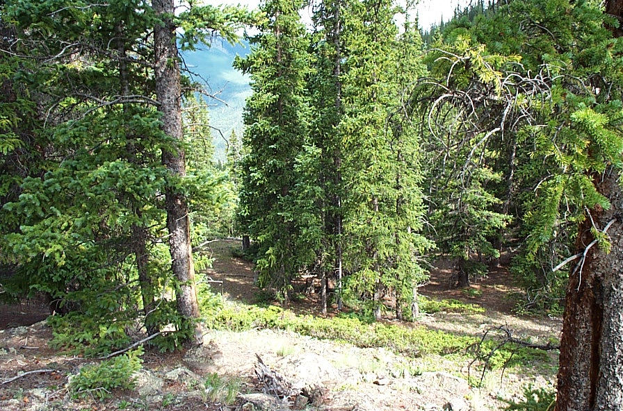 Lake city and Hinsdale County Colorado Land for sale