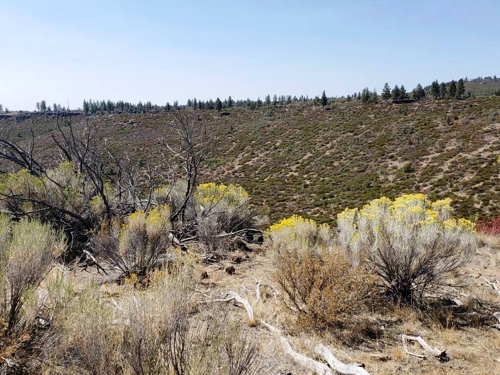 Klamath County Oregon land for sale real estate
