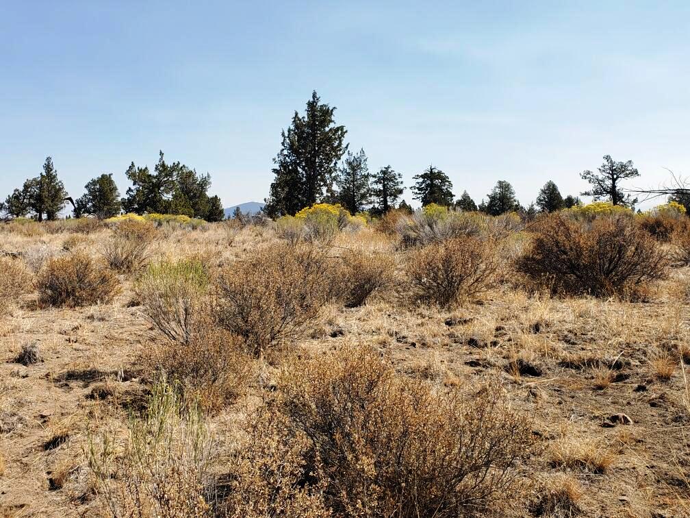 Klamath County Oregon land for sale real estate
