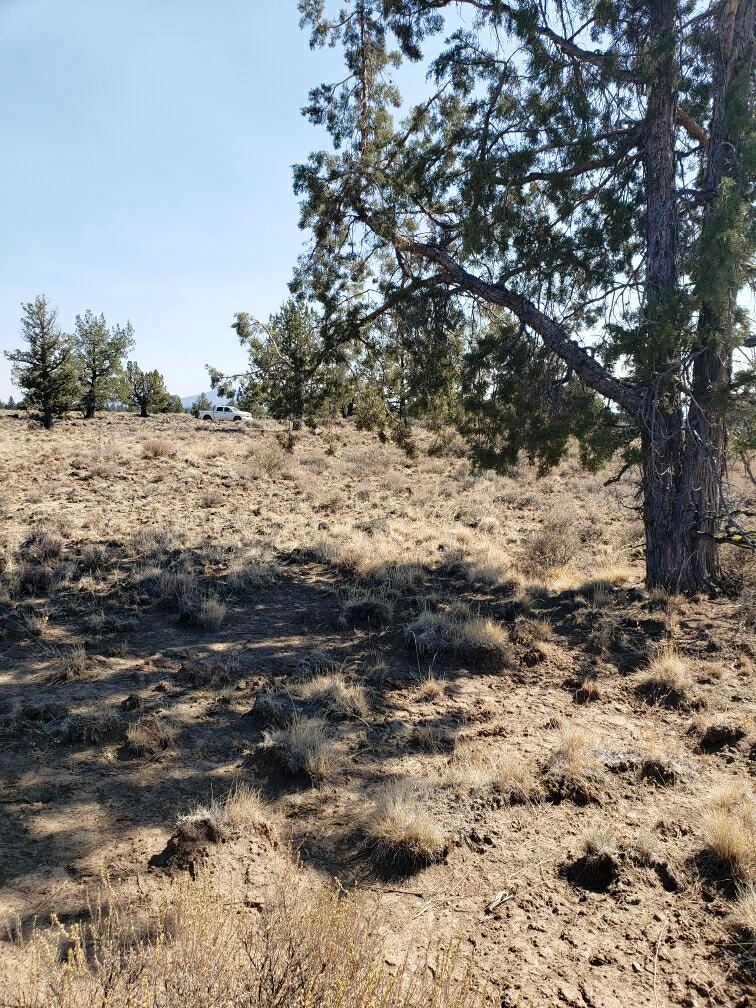 Klamath County Oregon land for sale real estate