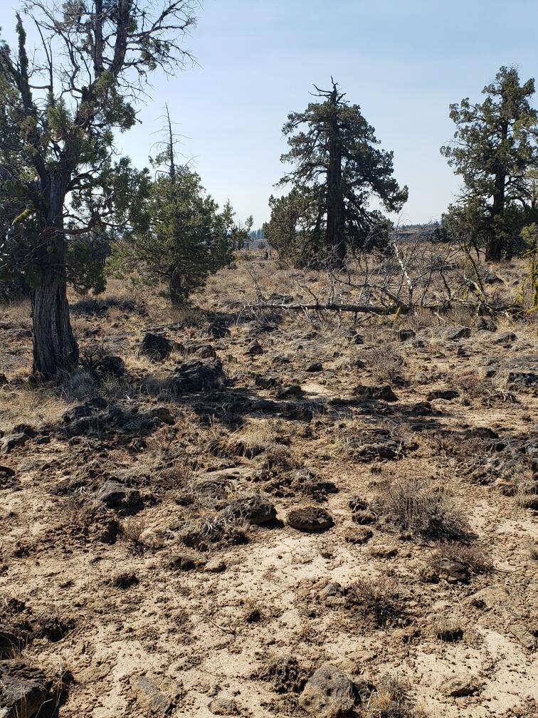 Klamath County Oregon land for sale real estate