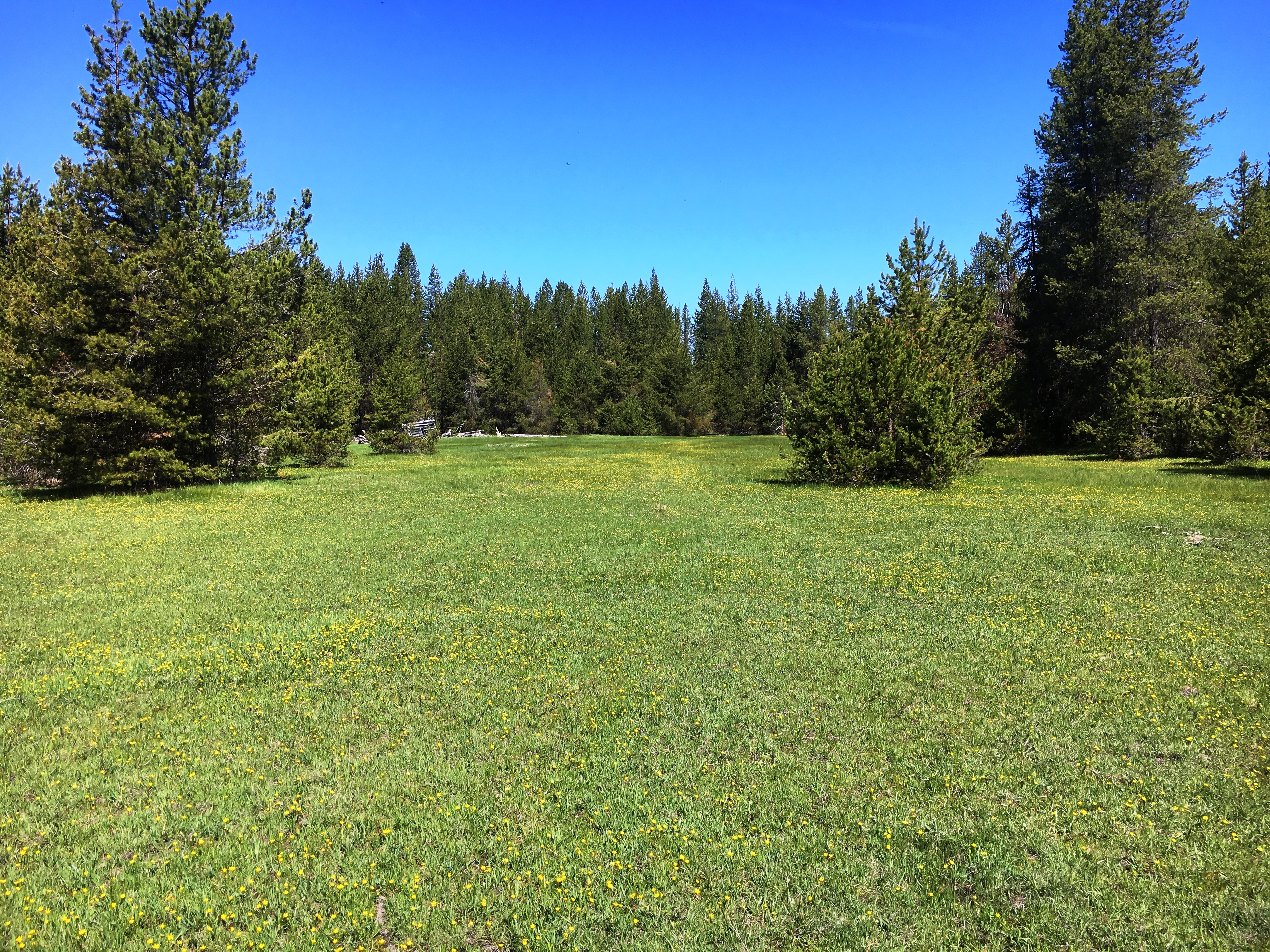 119 acres crescent Lake Oregon land