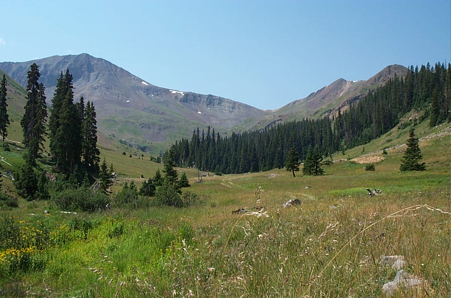 Colorado Real Estate for sale Lake city area