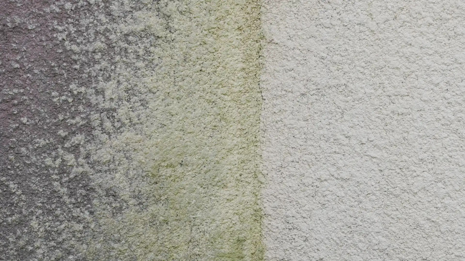 How To Clean Rendered Walls Helpful Guide and FAQs