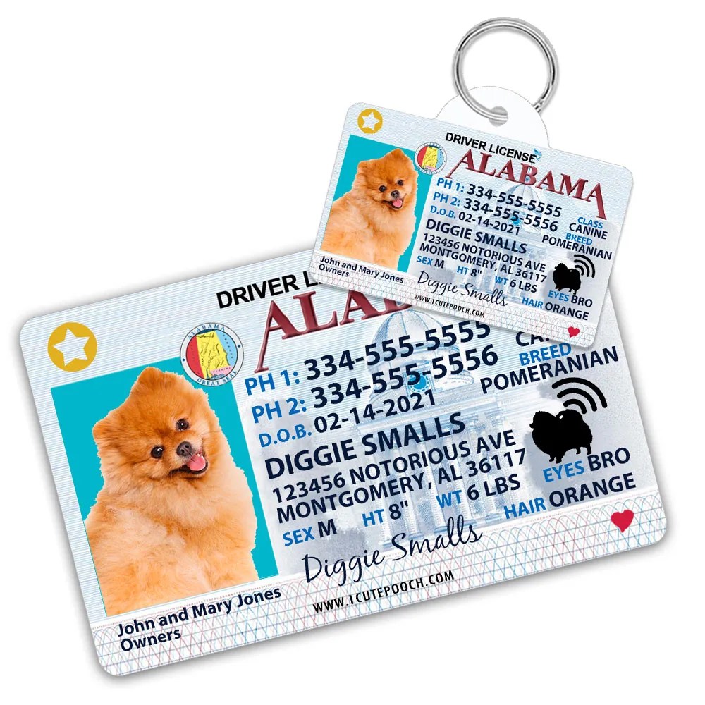 Alabama Driver License Custom Pet ID Tag and Wallet Card 1 Cute Pooch