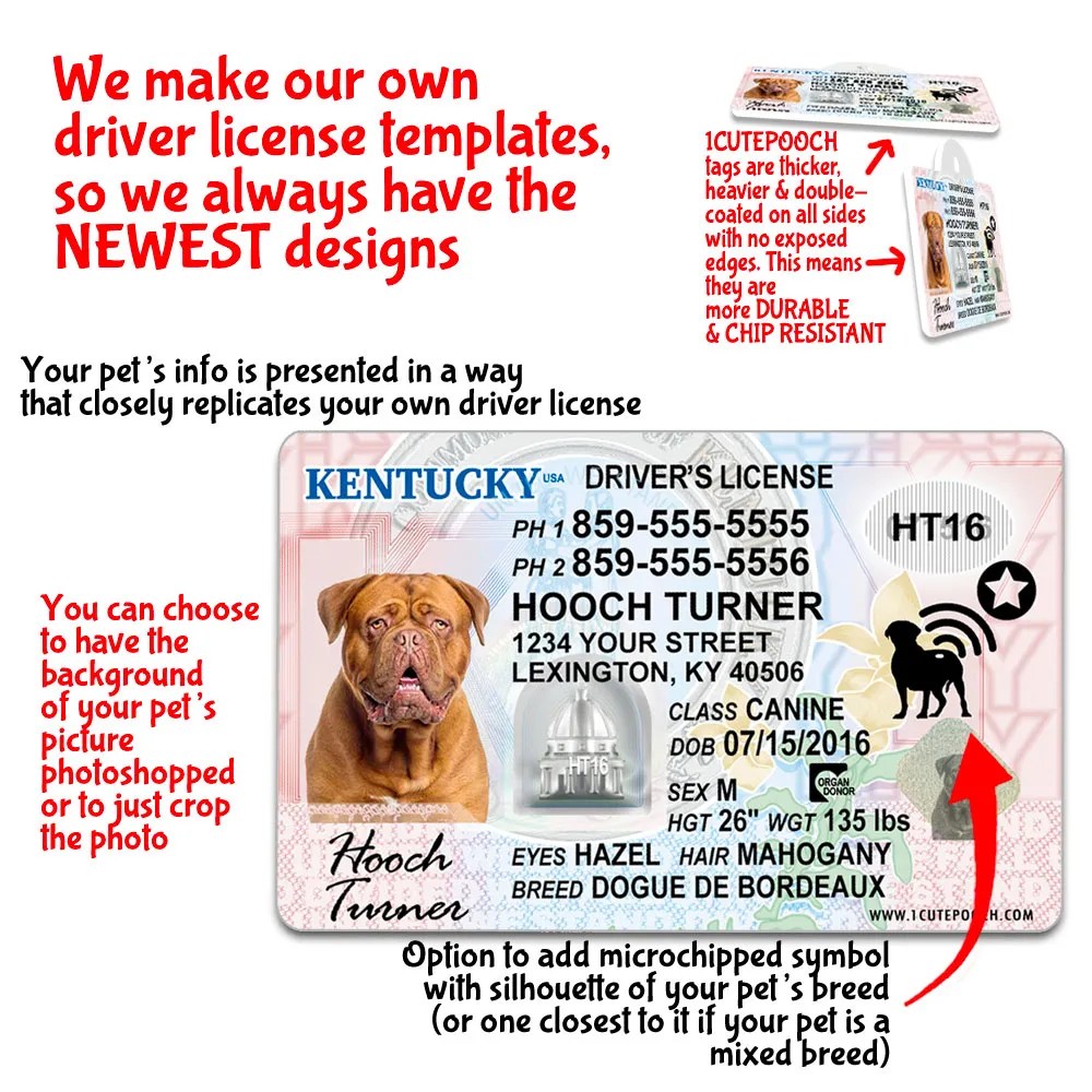 Kentucky Driver License Custom Pet ID Tag and Wallet Card 1 Cute Pooch