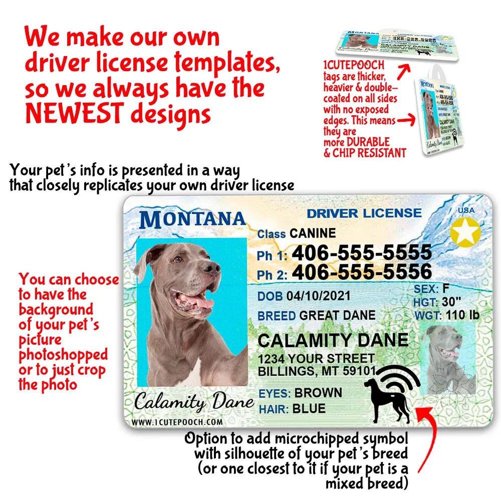 Montana Driver License Custom Pet ID Tag and Wallet Card 1 Cute Pooch