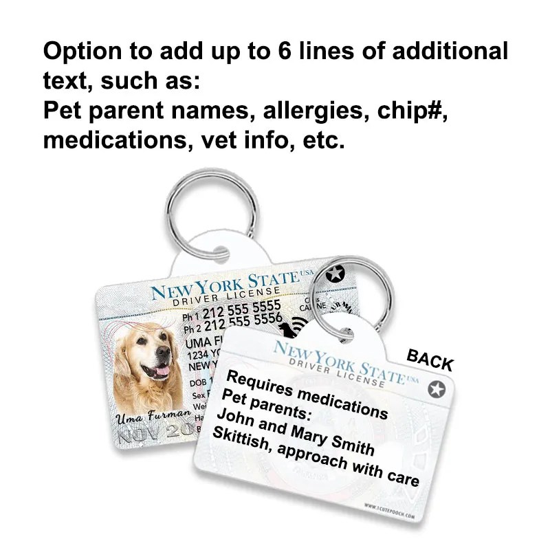 How Much Is A Dog License In Nyc