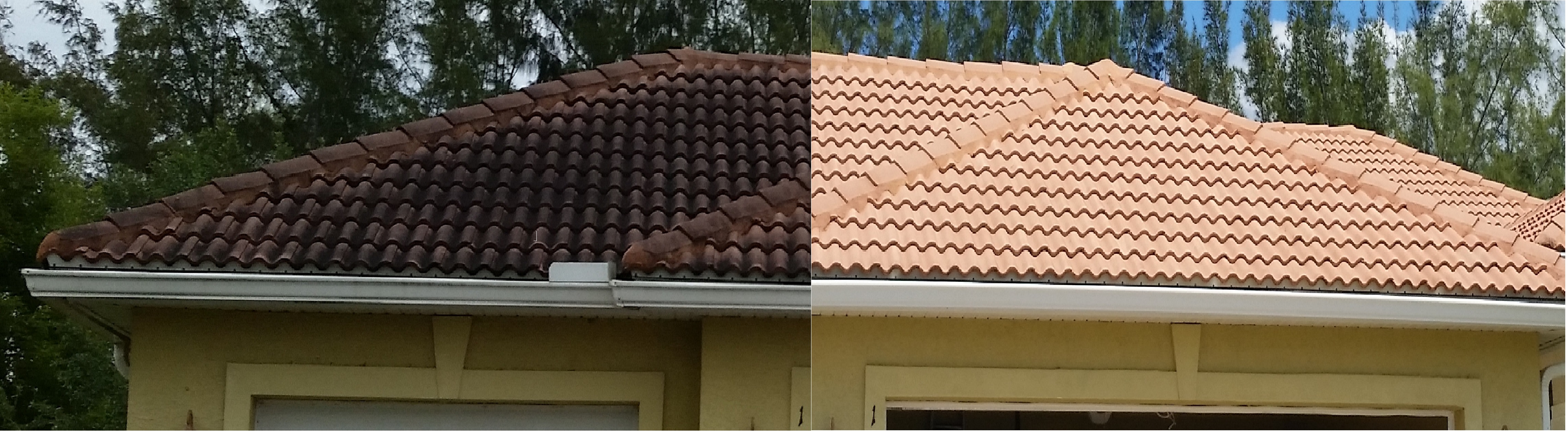 TILE ROOF BEFORE AND AFTER Roof Cleaning With No Pressure (239)7459163