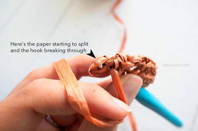 How to Crochet with Raffia One Dog Woof
