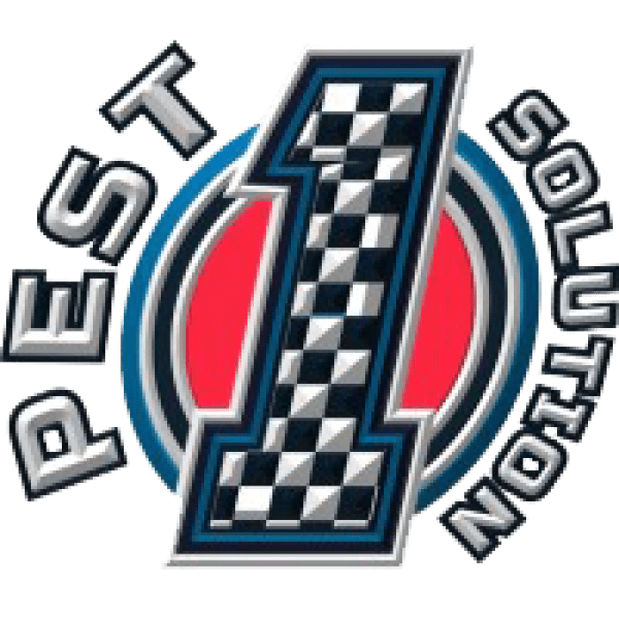 Pest Control WinstonSalem, NC Free Estimates 1 Pest Solution LLC