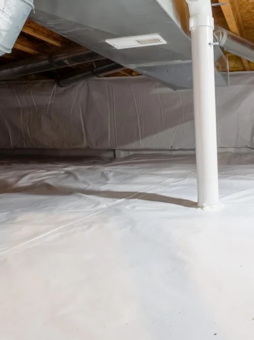 Pest Control WinstonSalem, NC Free Estimates 1 Pest Solution LLC