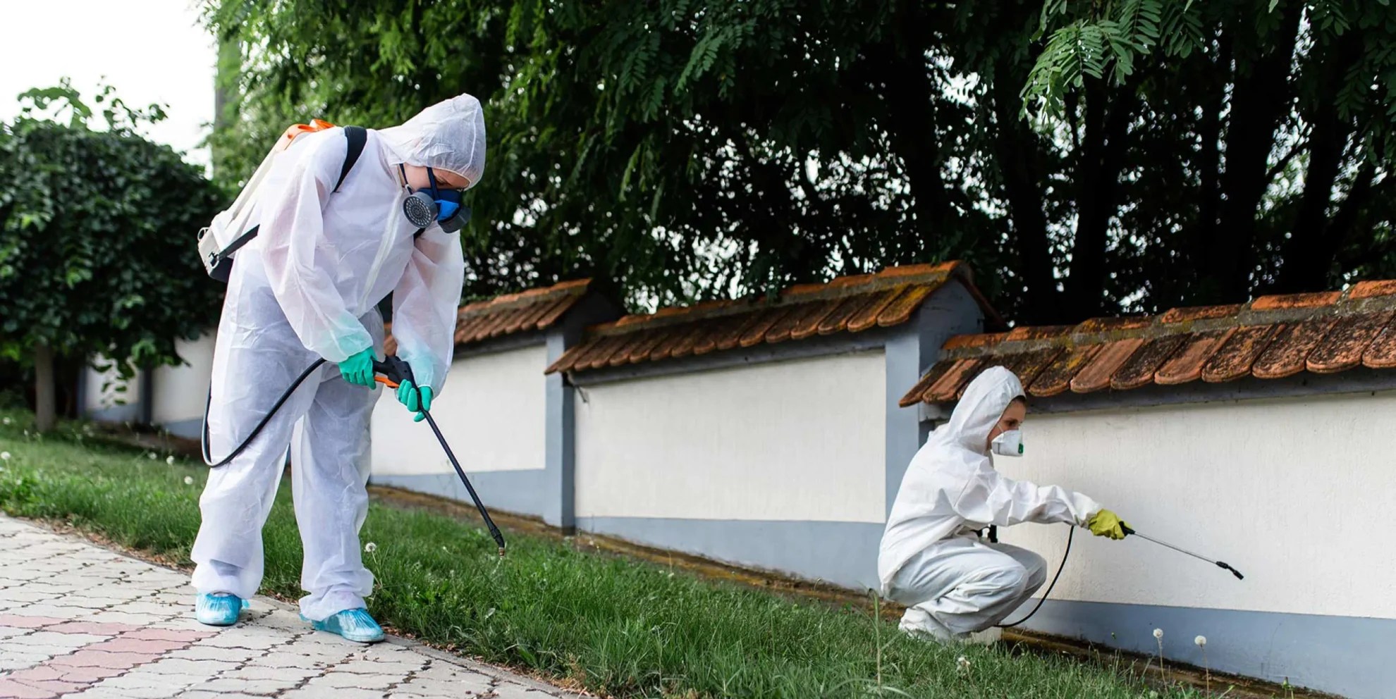 Pest Control WinstonSalem, NC Free Estimates 1 Pest Solution LLC