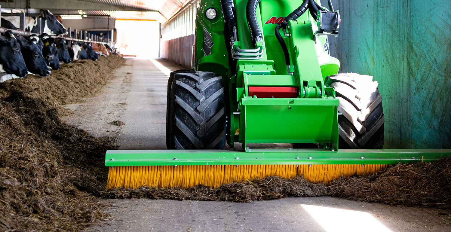 Push Broom 1st Base Plant Sales