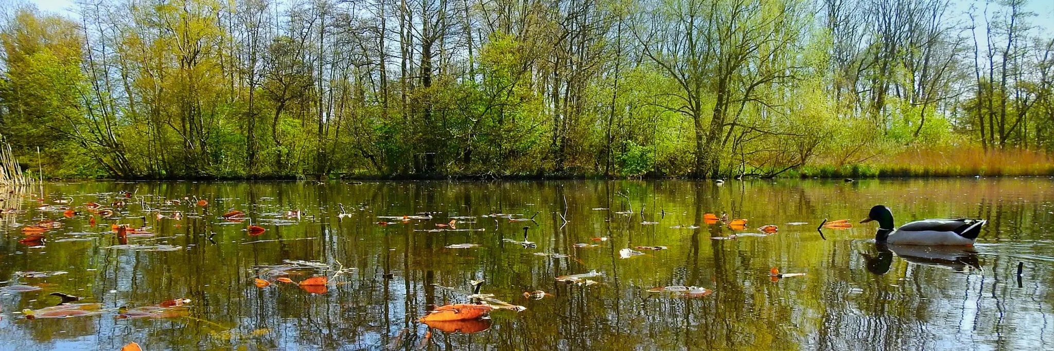 Selby Removals House Moving Company 1 Van 1 Man