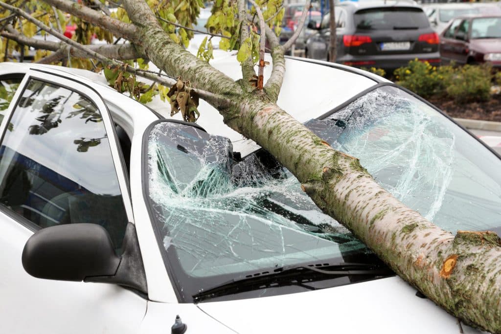 What Adjusters Must Know Before the 2020 Storm Season Insurance