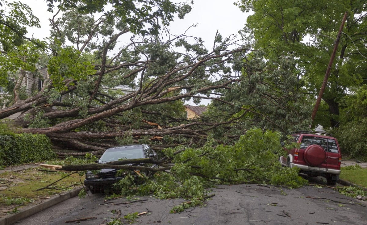 The Truth About Working As A Texas CAT Adjuster July 2024