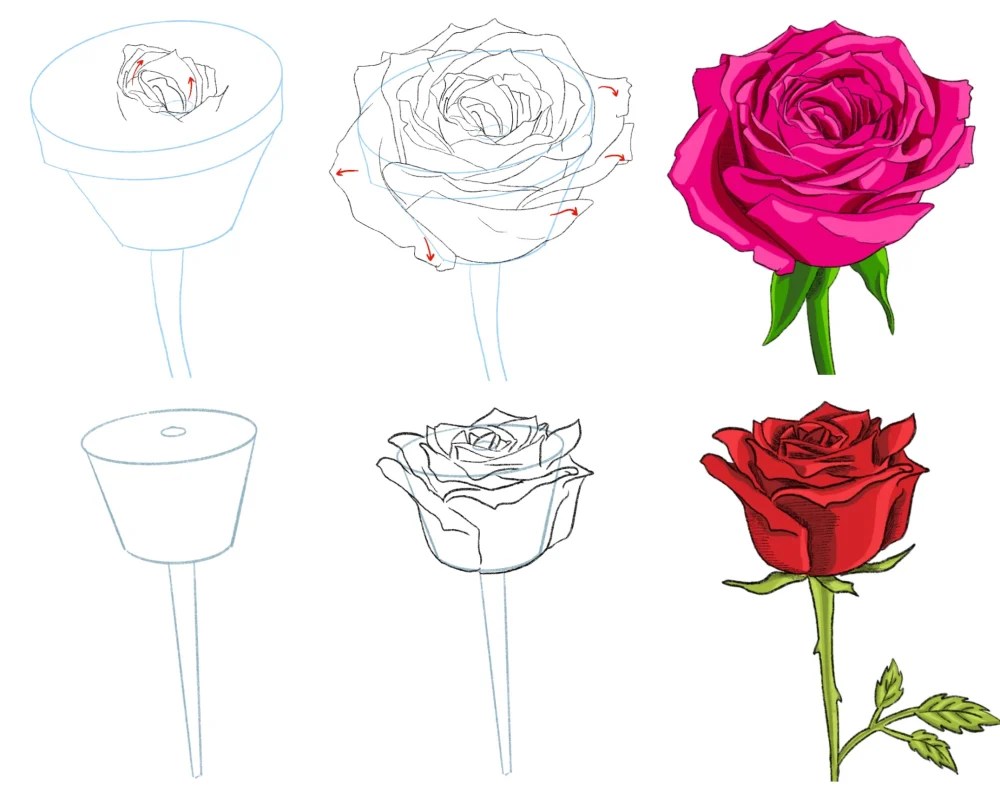 How To Draw Roses Step By Step For Beginners