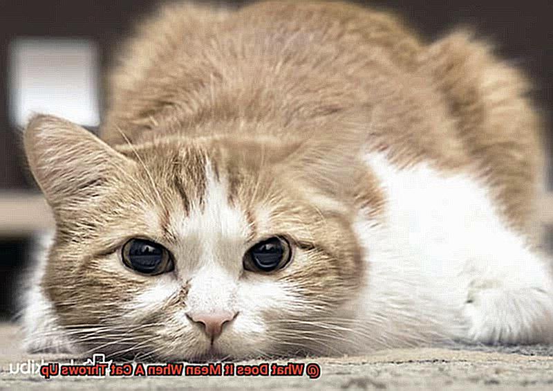 What Does It Mean When A Cat Throws Up?