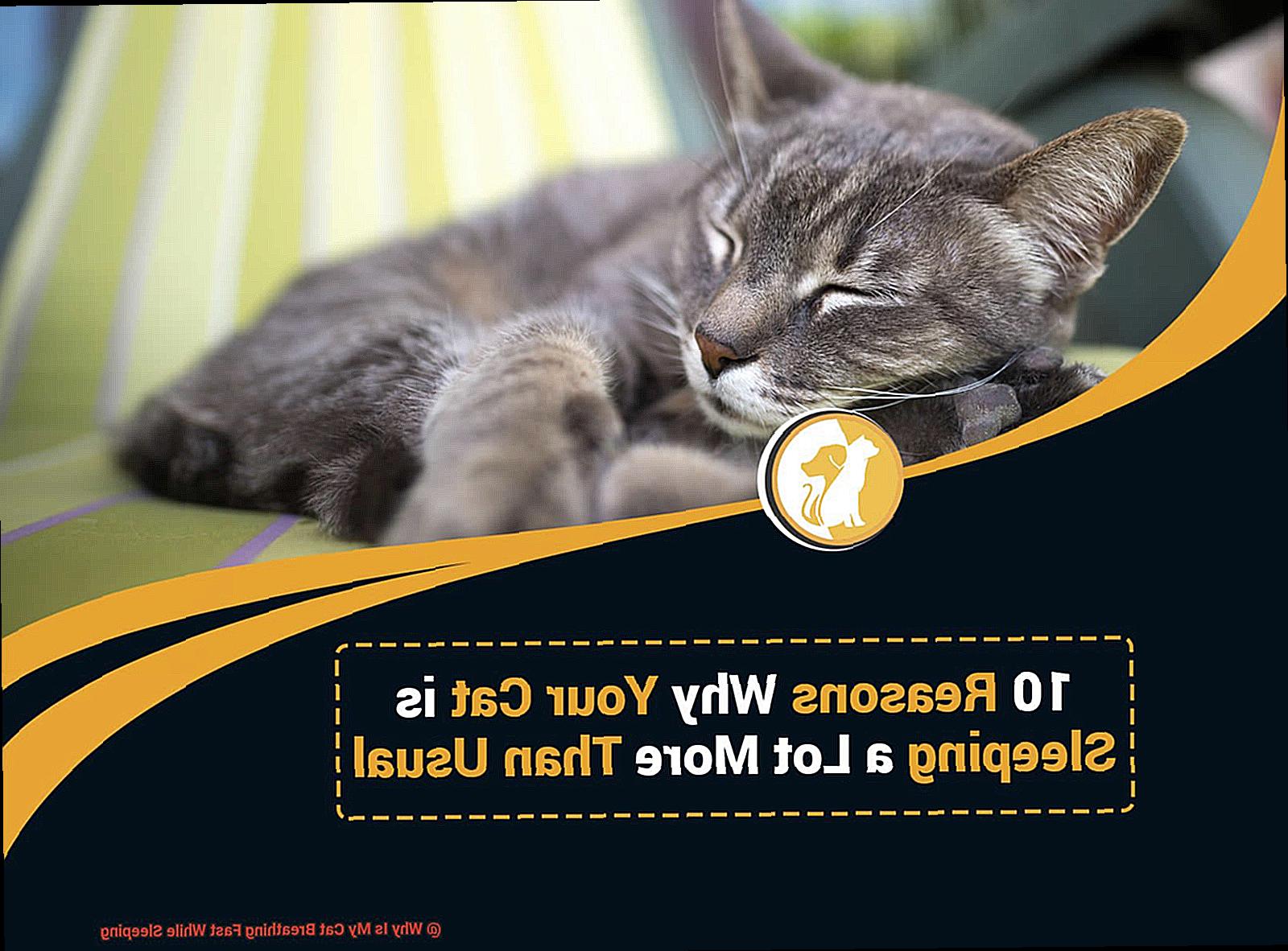 Why Is My Cat Breathing Fast While Sleeping?