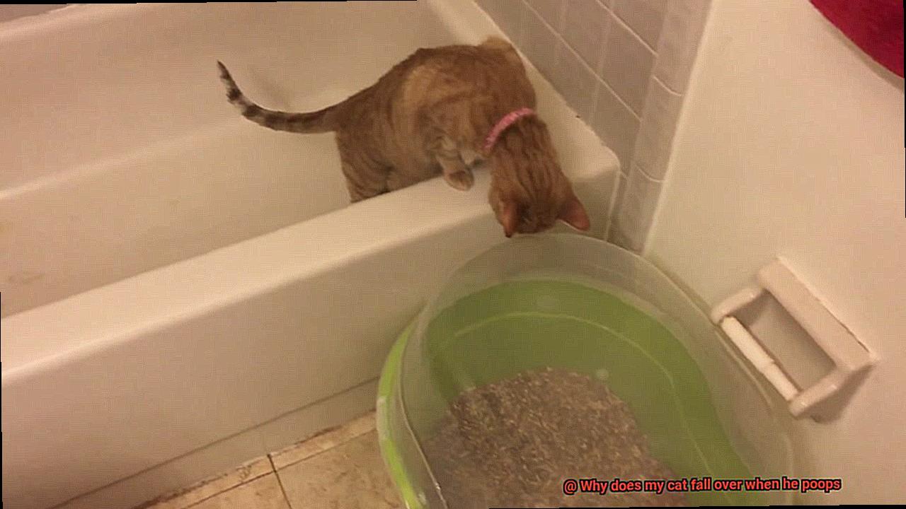 Why does my cat fall over when he poops?