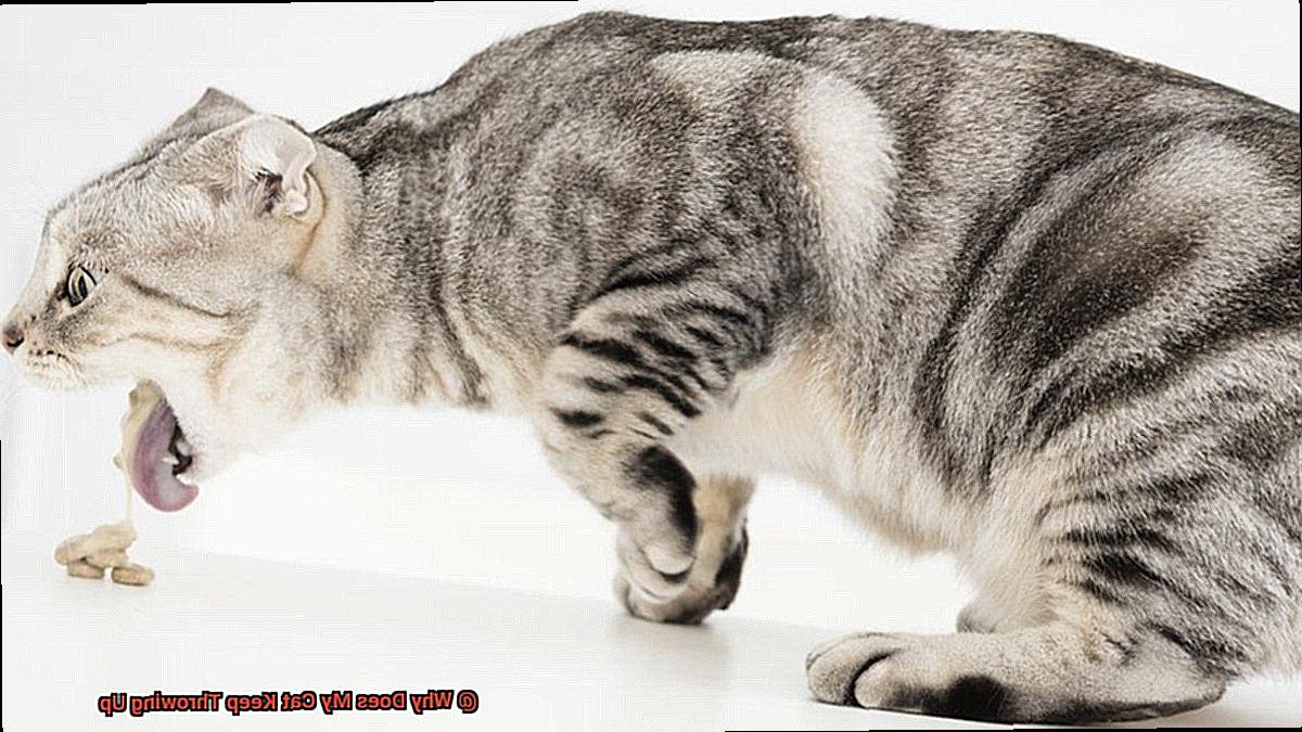 How To Stop My Cat From Throwing Up All The Time at Jean Huson blog