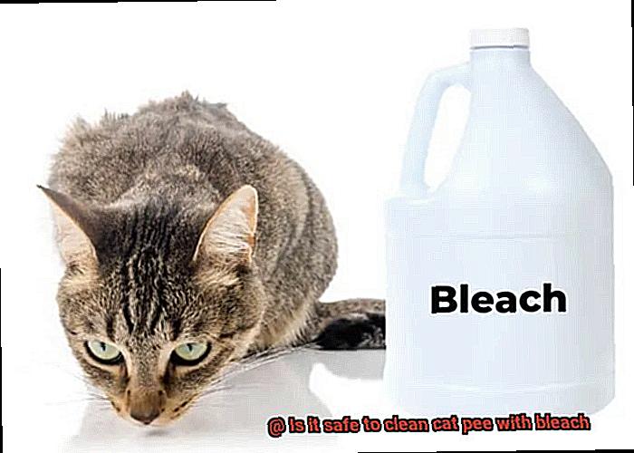 Is it safe to clean cat pee with bleach?