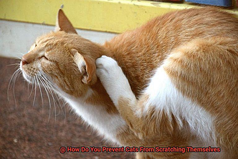 How Do You Prevent Cats From Scratching Themselves?