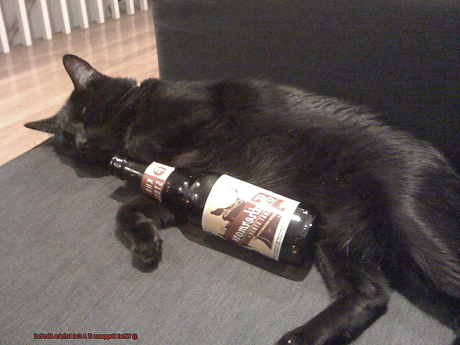 What Happens If A Cat Drinks Alcohol?
