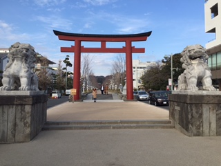 image1.JPG
