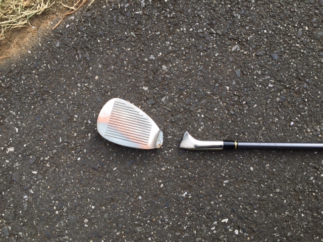 image1_4.JPG