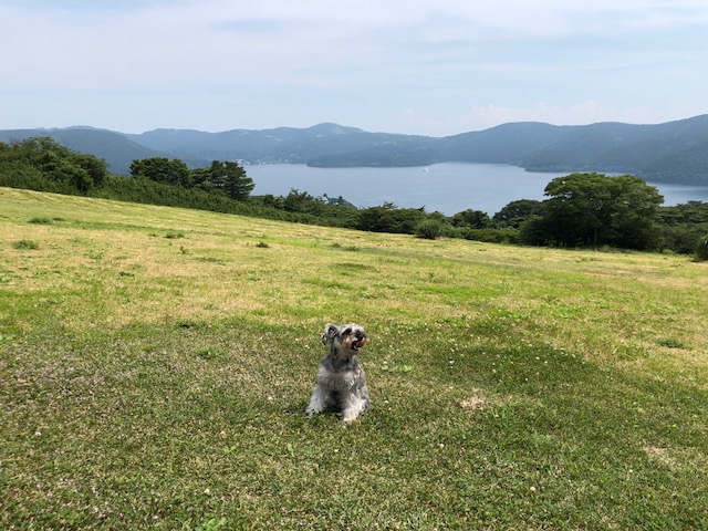 image1_3.jpeg