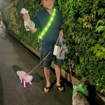 犬散歩しながらゴミ拾いをしてはや数年、、、なくならんなぁ、、、