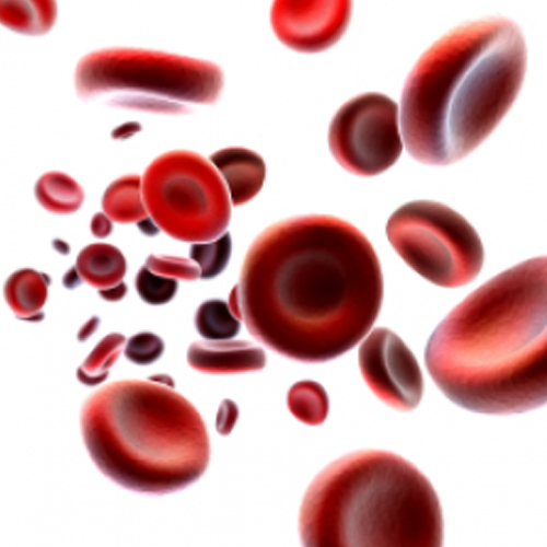 Tampa Complete Blood Count Test - 24/7 Labs