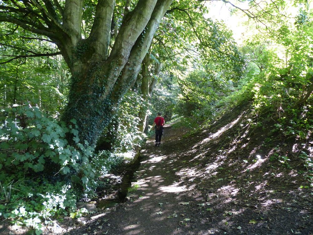 Railway Walk from Kingsbarns to Crail Sandcastle Cottage, Crail, KY10 3TU