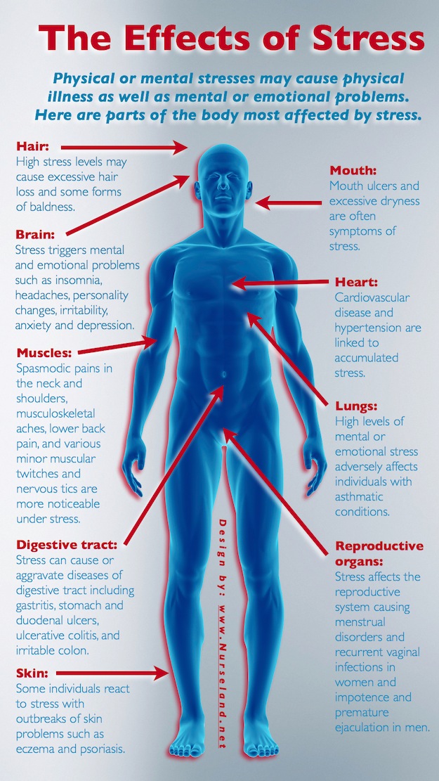 Health Stress Throughout the Body Infographic 2ndAct Health