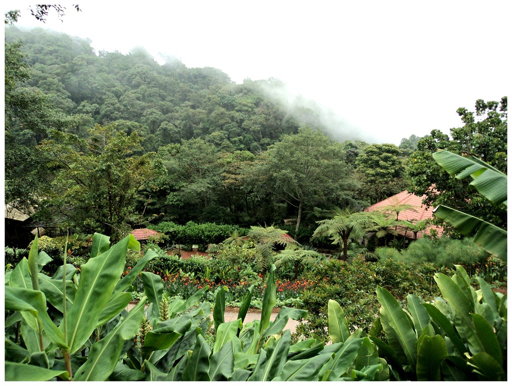 My Trip to Costa Rica 2 Sisters 2 Cities