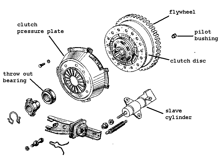 Pilot Bearing Diagram
