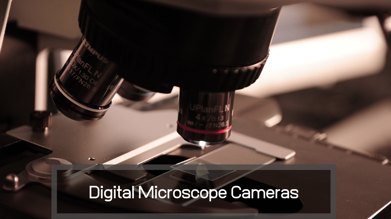 Top 8 Best Digital Microscope Cameras 33rd Square